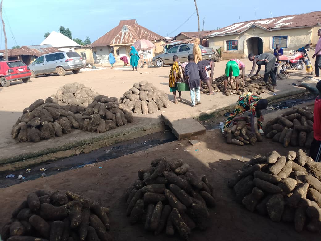 Encourage farming occupation, Idu Community in FCT appeals to gov’t 