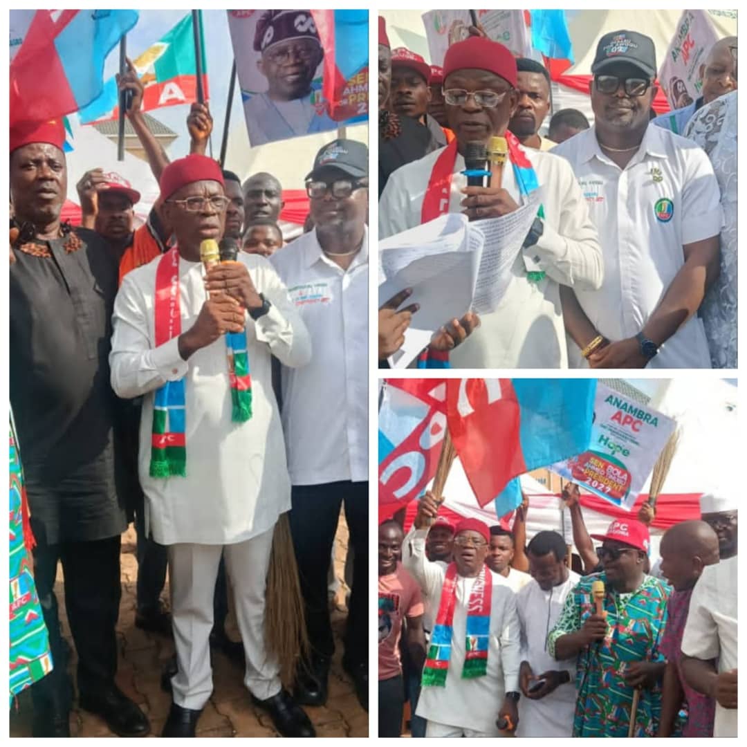Anambra politics: Danger for APGA, NDC as APC targets NASS, S/Assembly seats